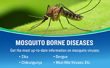 Cutter Mosquito Borne Diseases